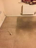 Steaming Sam Carpet Cleaning image 1